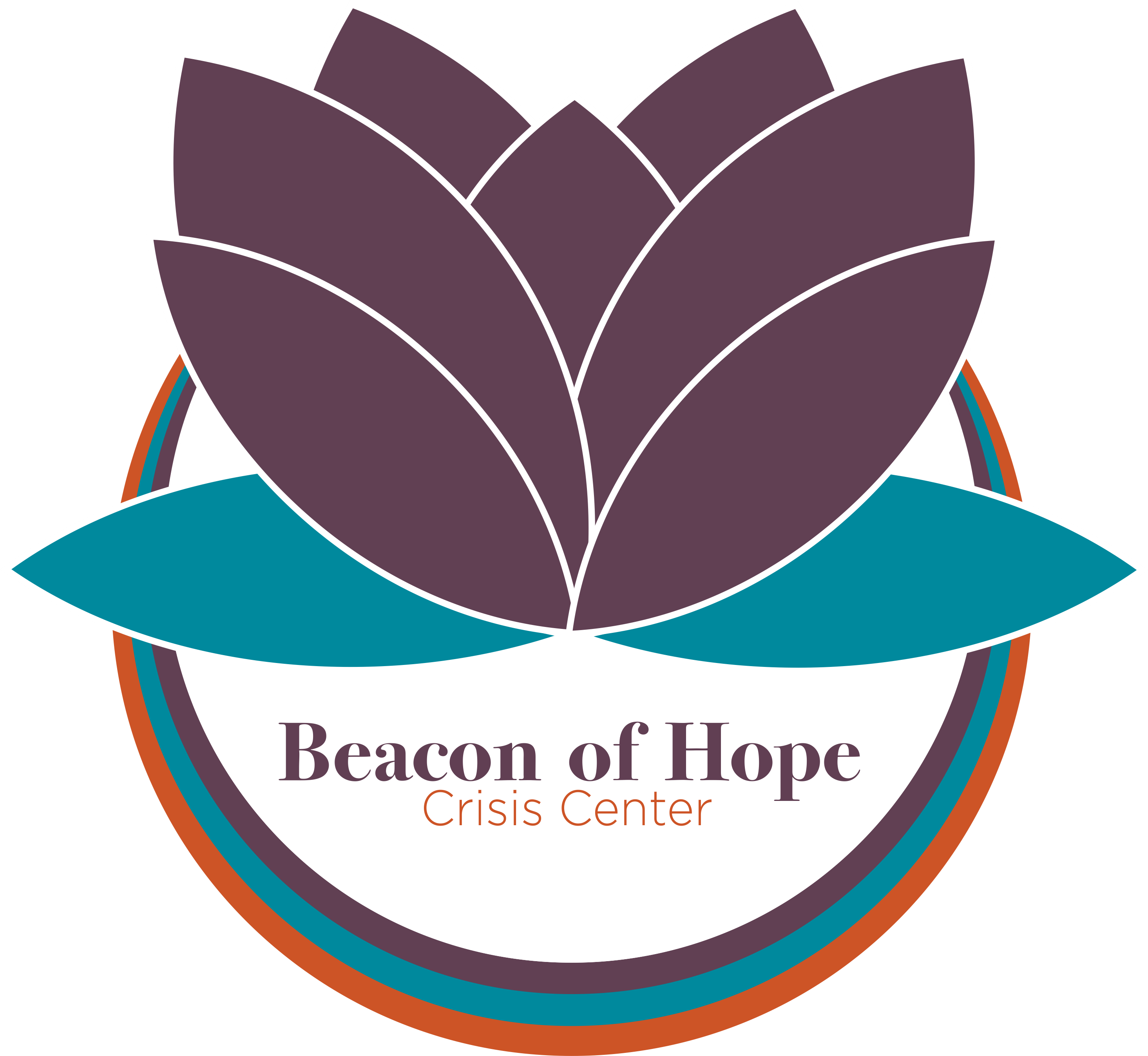 Beacon Of Hope Crisis Center Awarded $13,300 Johnson County Community ...