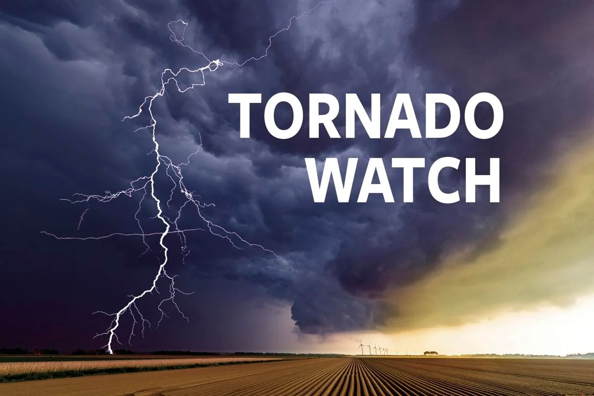 Tornado watch Men's 'Tornado' Quartz Stainless Steel Dress Watch, Color:Two  Tone (Model: T8006-TBTS) : Amazon.in: Fashion