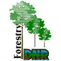 DNR seeks public opinion on forestry strategic plan