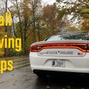 ISP Sellersberg issues safety tips for Fall driving in Indiana