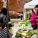 Bloomington farmers’ market accepting applications for vending spaces for 2025 season