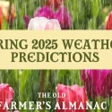 Old Farmer’s Almanac has released it spring forecast for Indiana